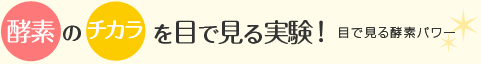 酵素の力を目で見る実験