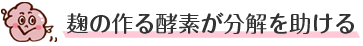 麹の作る酵素が分解を助ける