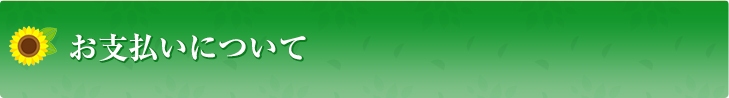 お支払いについて