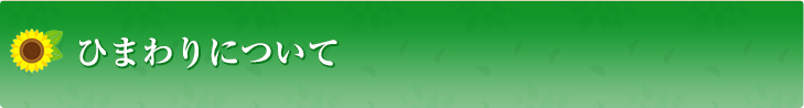 ひまわりについて