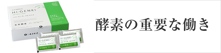 酵素の重要な働き